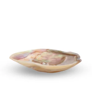 صدف مادر